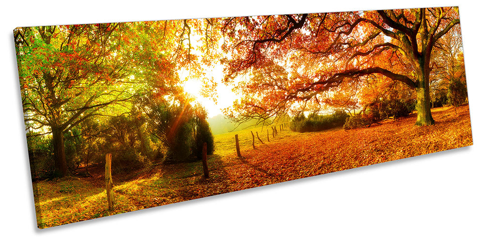 Autumn Sunset Landscape Orange