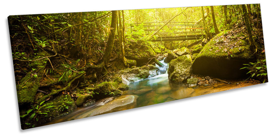 Green Forest River Bridge