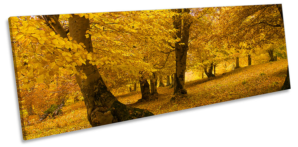 Yellow Landscape Trees Autumn