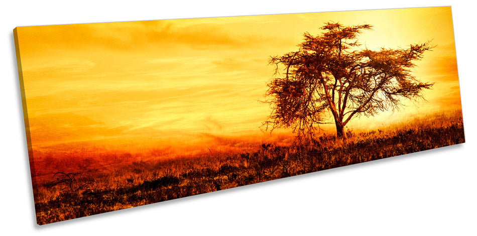 Golden Sunset Landscape