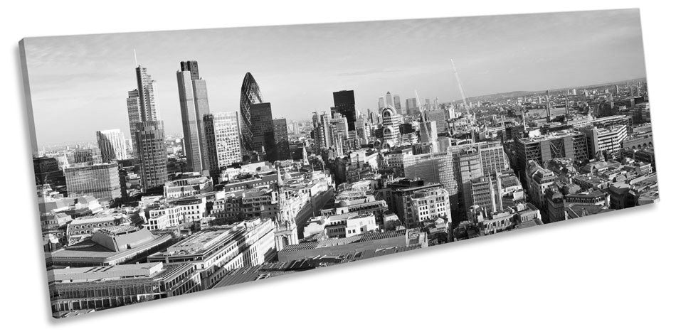 London City Sunset Skyline B&W