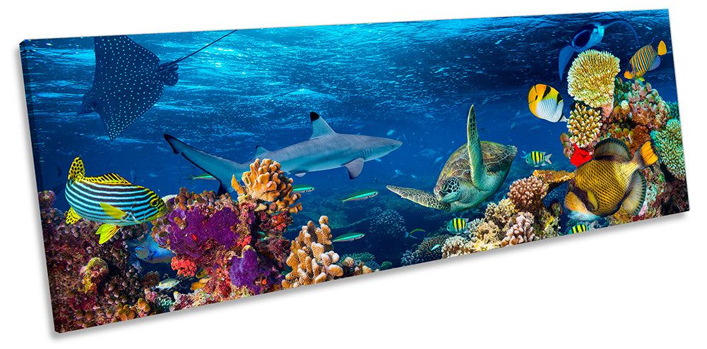 Underwater Coral Reef Fish