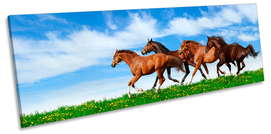 Horses Galloping