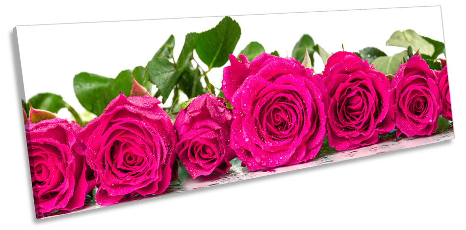 Pink Roses Flowers