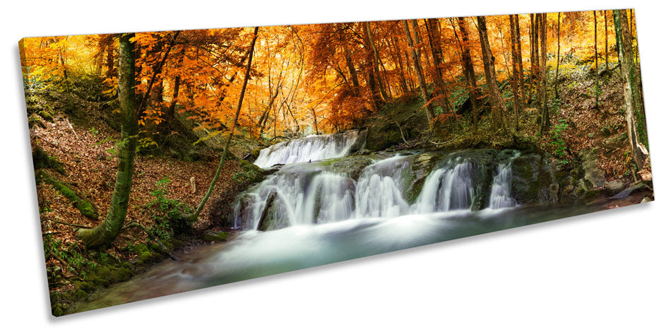 Woodland Forest River Landscape