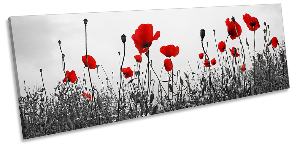 Red Poppies Flowers Floral Grey