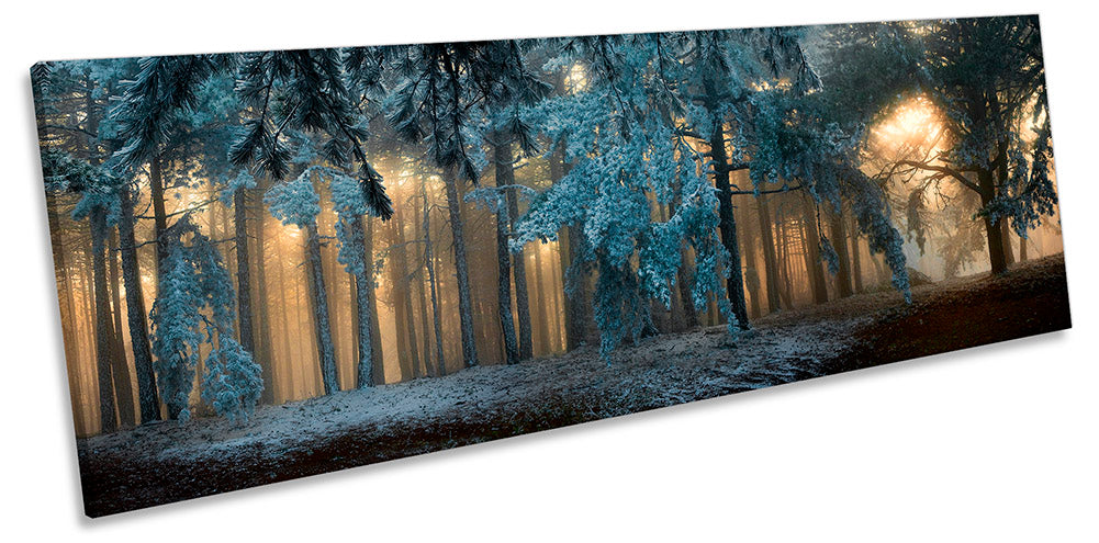 Winter Forest Night Landscape