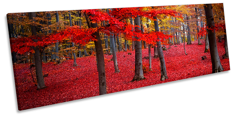 Red Landscape Forest