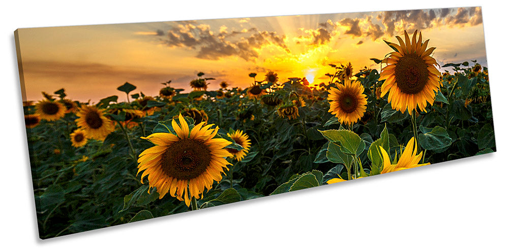 Sunflower Sunset Floral Orange