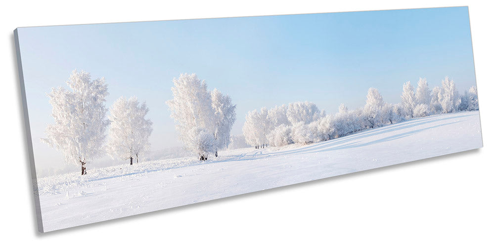 Winter Snow White Landscape