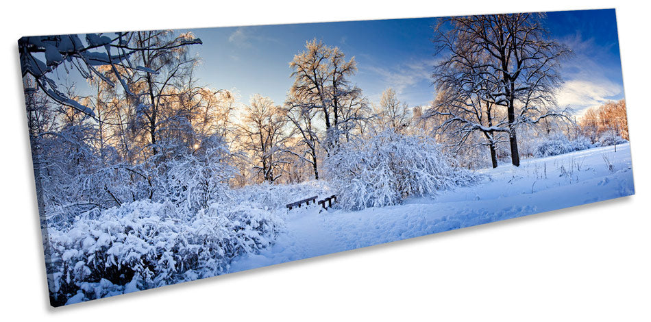 Winter Snow Scene Landscape