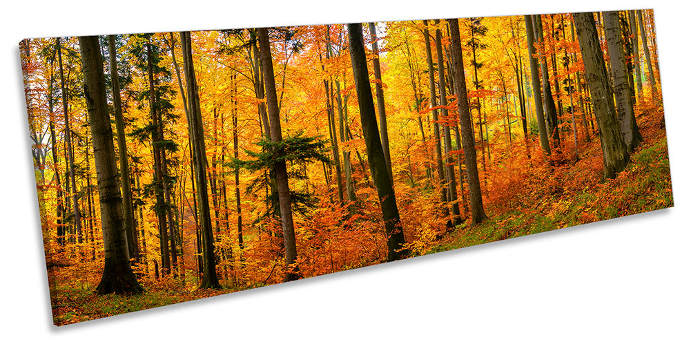 Autumn Forest Trees Nature Orange