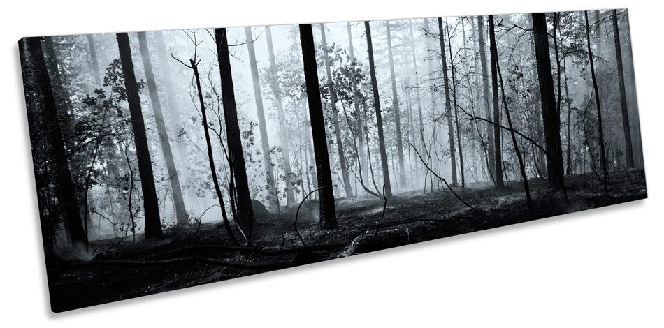 Dark Forest Misty Landscape Trees