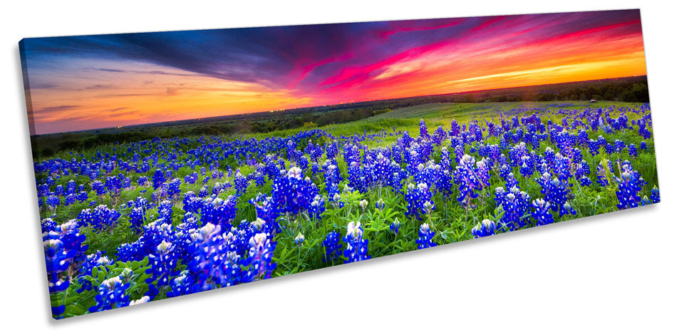 Flowers Landscape Sunset