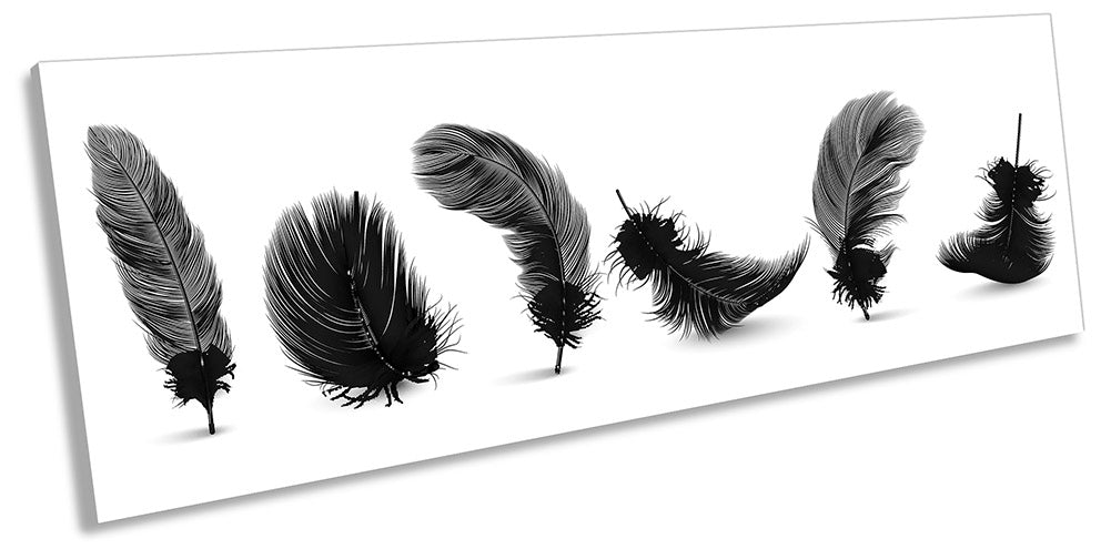 Feathers Minimalistic Black & White