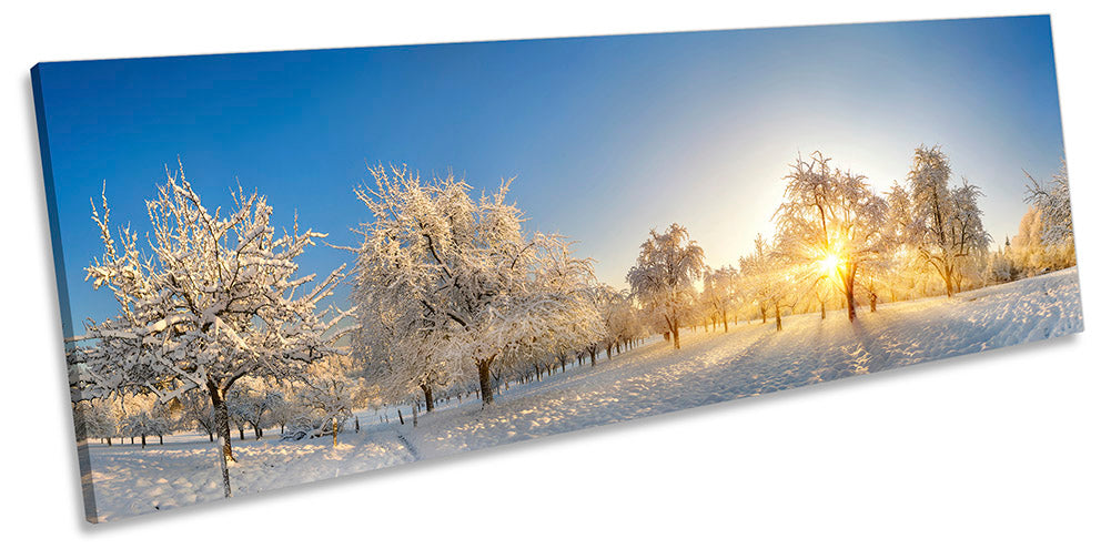 Winter Landscape Sunset White