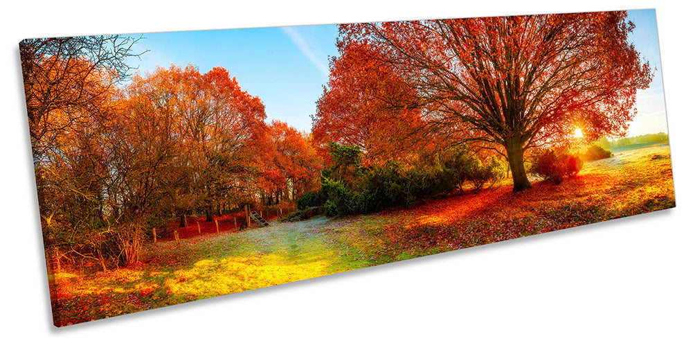 Autumn Tree Sunset Landscape Red