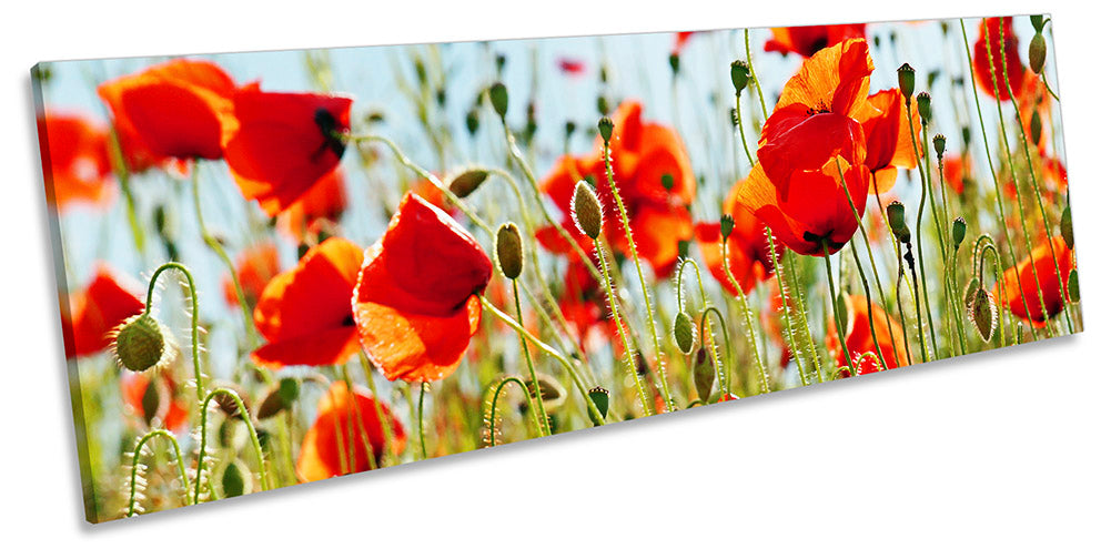 Poppy Field Floral Flowers Red