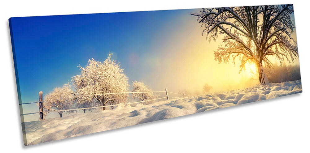 Winter Sunset Landscape White