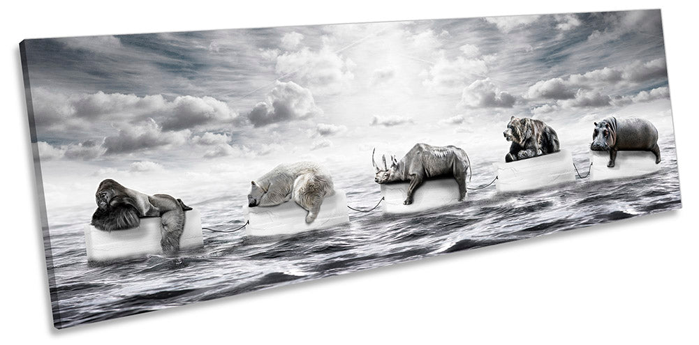 Animals Sleeping Icebergs Grey