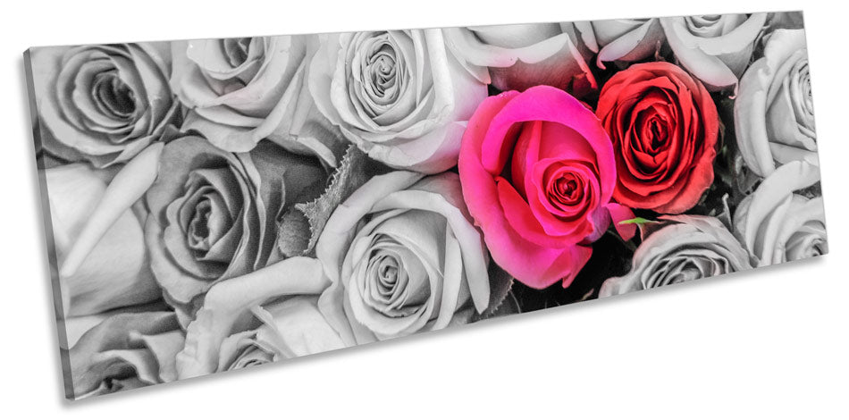 Roses Flowers Floral Love