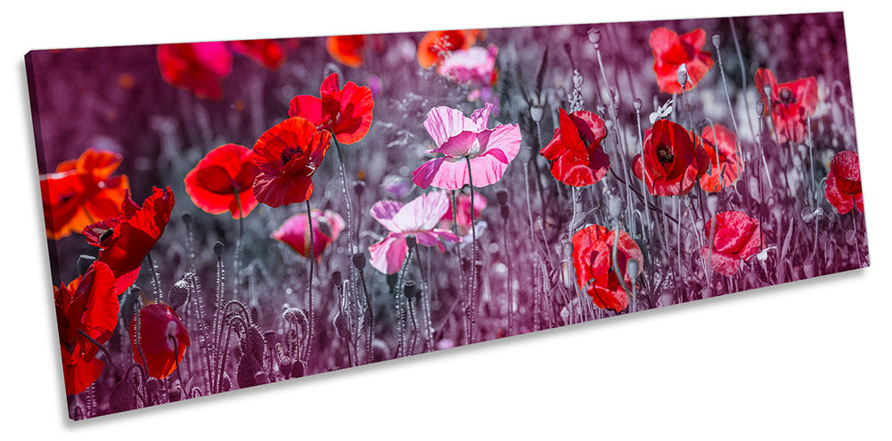 Pink Red Poppy Flowers Grey