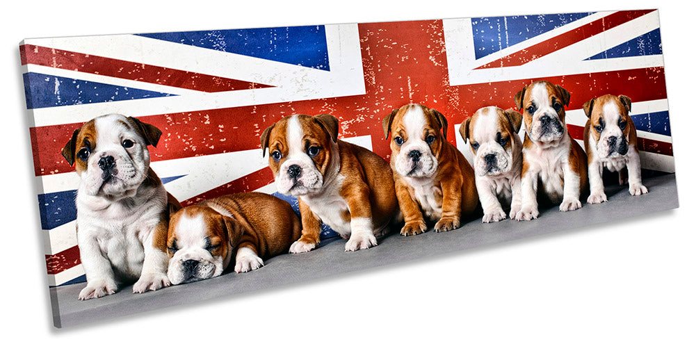 British Bulldogs Union Jack