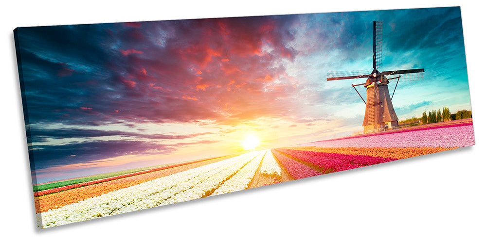 Windmill Sunset Floral Field