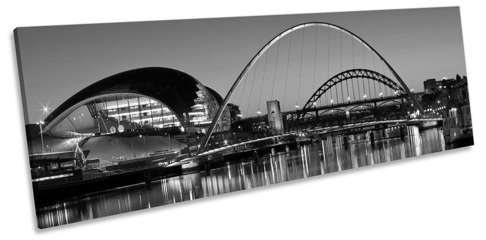 Newcastle Tyne Bridges River City B&W