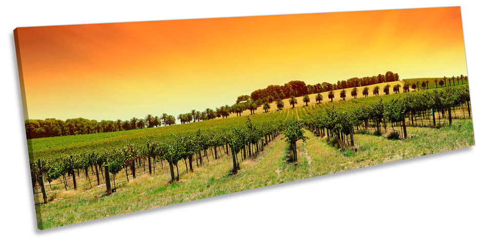 Orange Sunset Vineyard