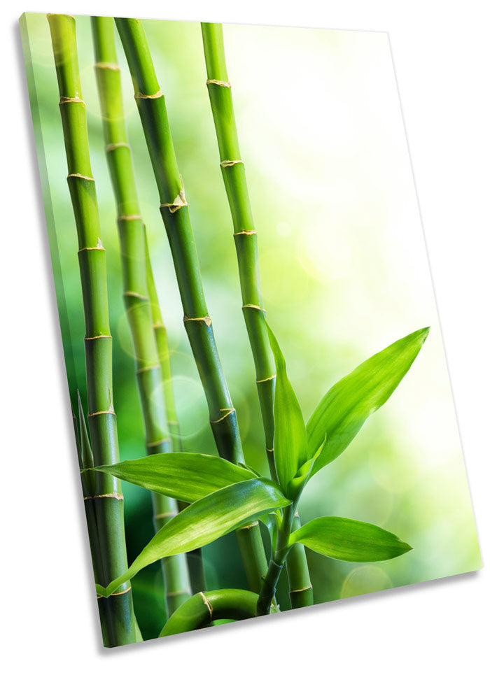 Bamboo Floral