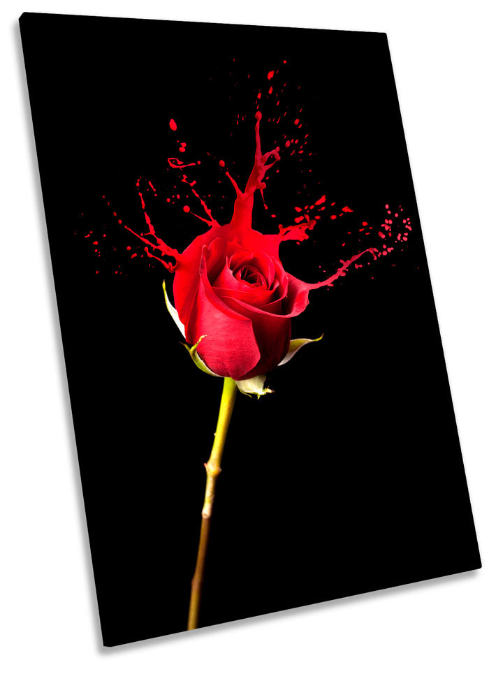 Red Rose Paint Splash Red