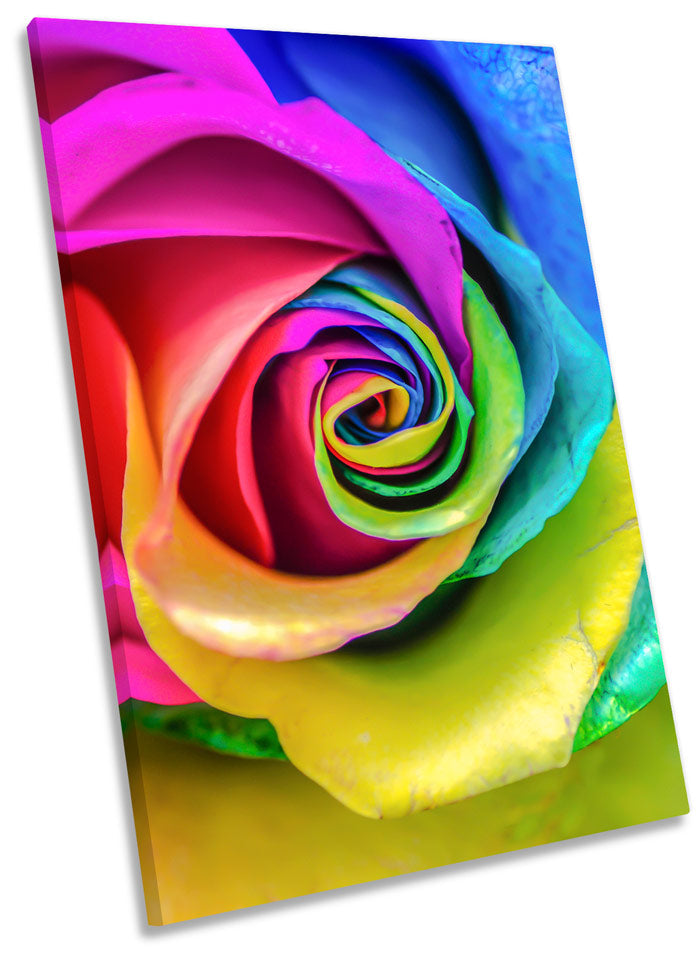 Rainbow Rose Flower Modern