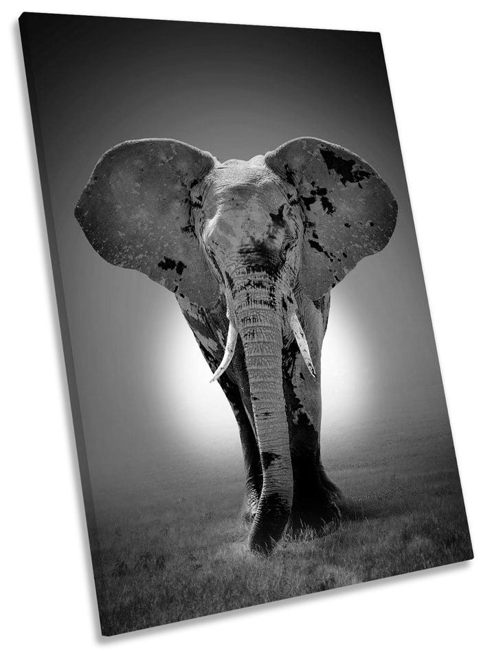 Elephant Sunset B&W