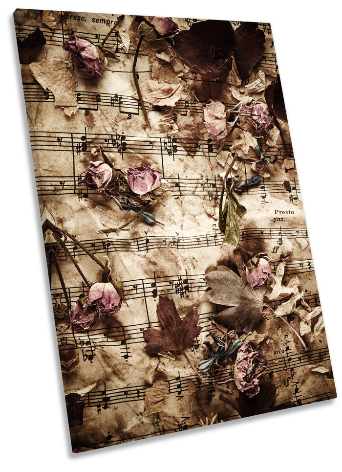 Dry Rose Petals Vintage Floral