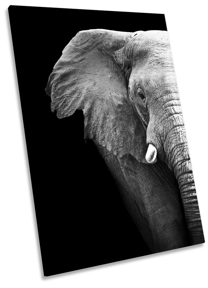 Elephant Mono