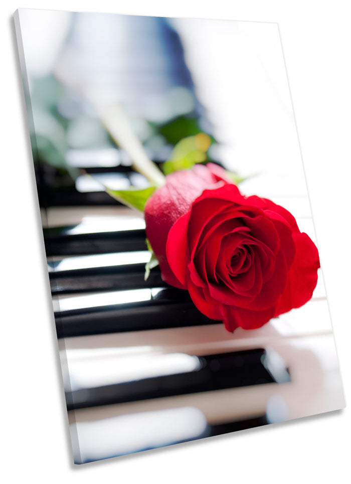 Rose Flower Music Piano Floral