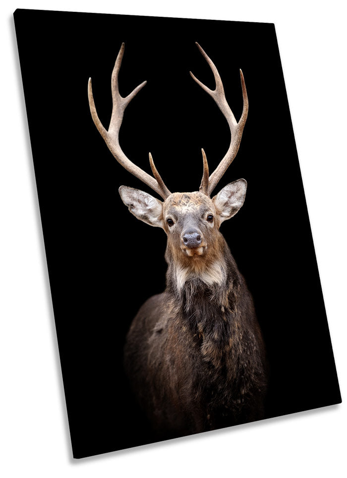 Stag Deer Head