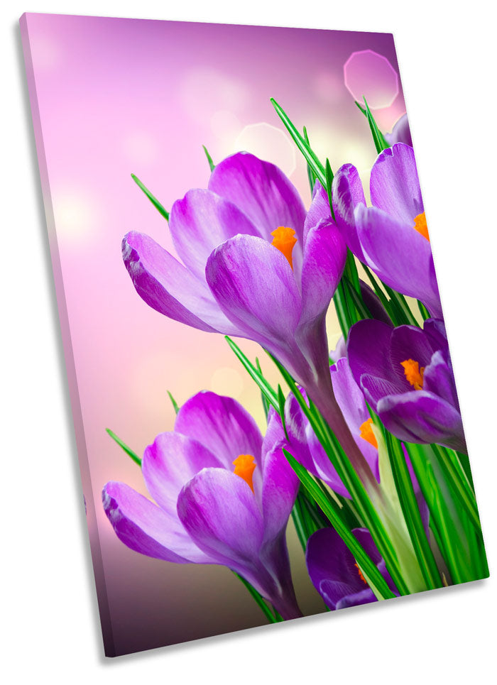 Crocus Spring Flowers Floral