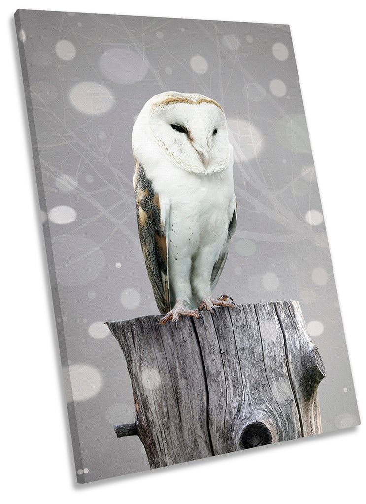 Barn Owl Grey