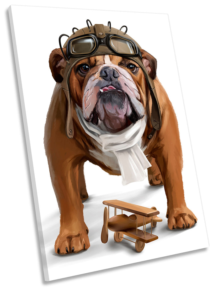 British Bulldog Aviator Brown