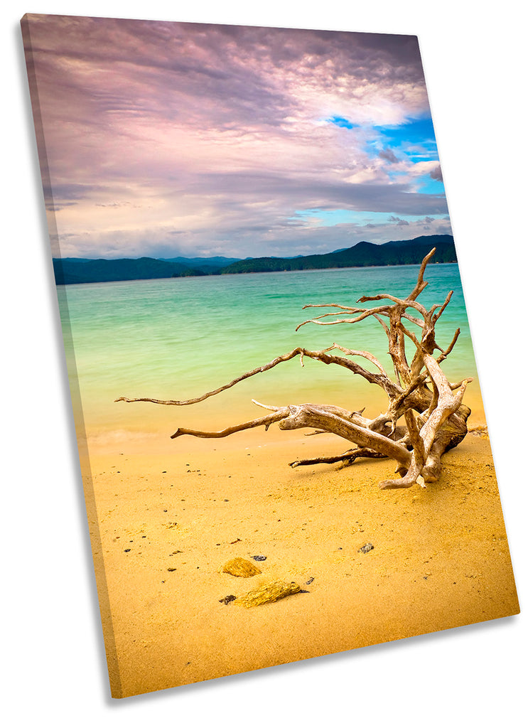 Beach Driftwood Seascape