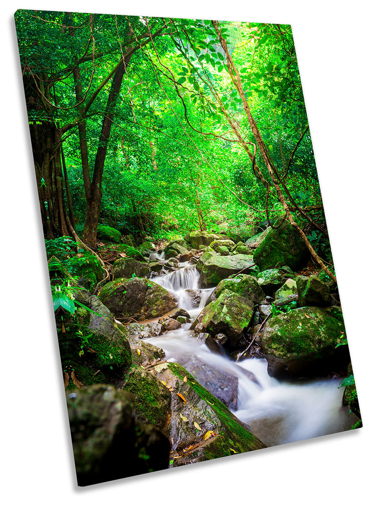 Forest River Stream Landscape Green