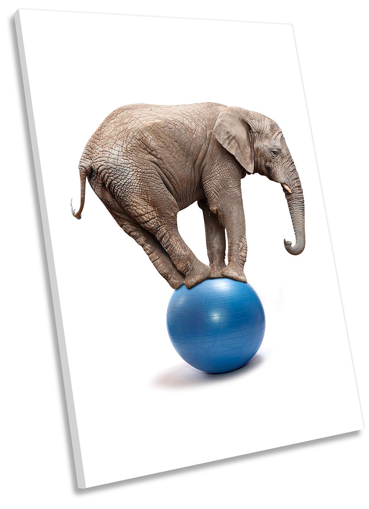 Elephant Balancing Ball Grey