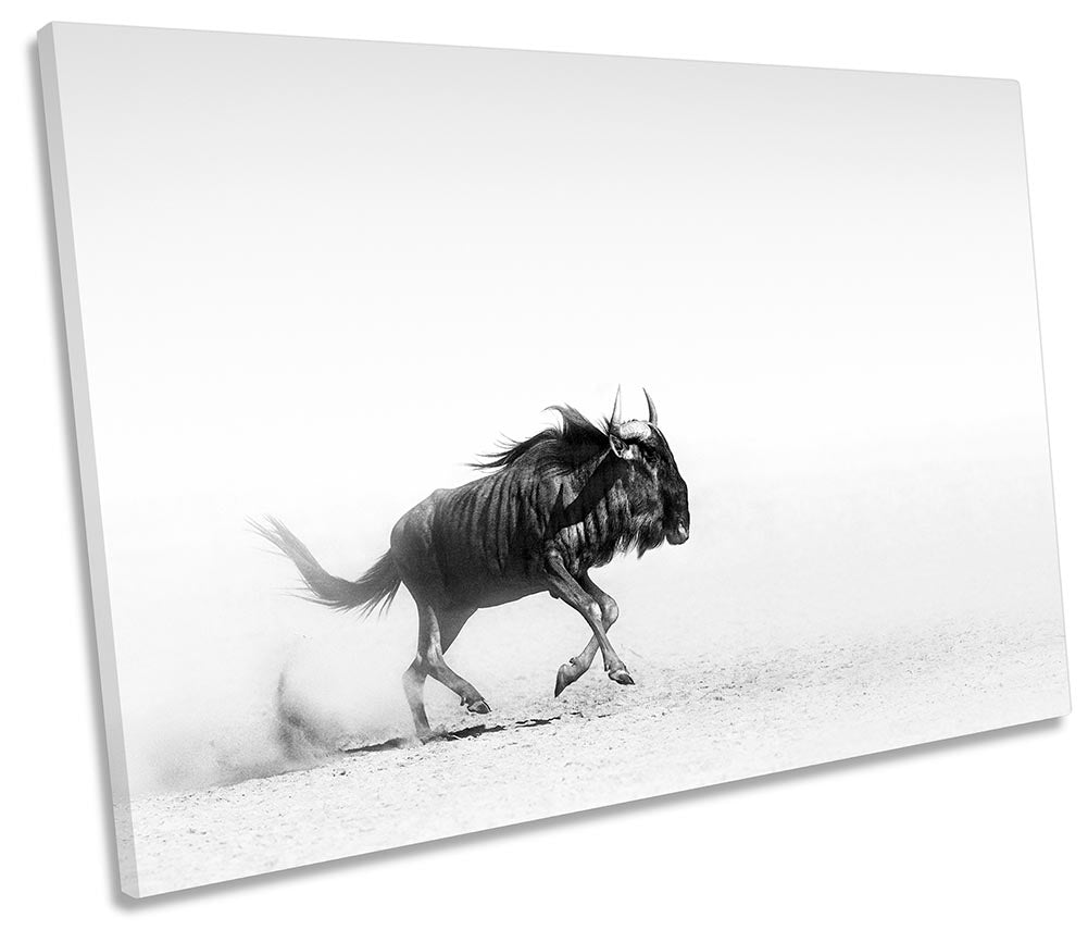 Wildebeest Minimalistic White