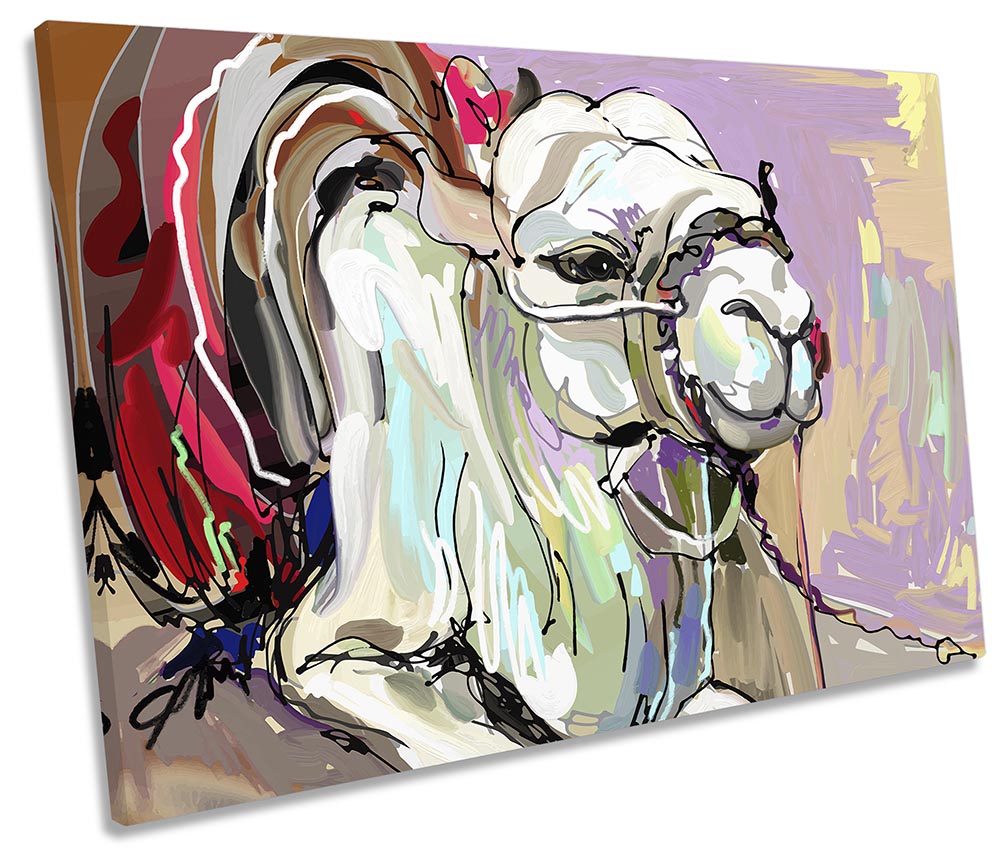 Camel Animal Multi-Coloured