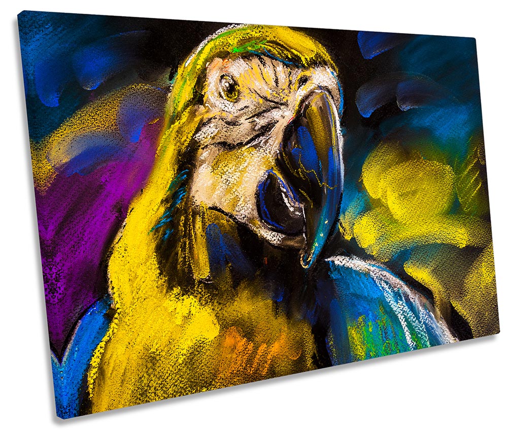 Parrot Face Bird Yellow