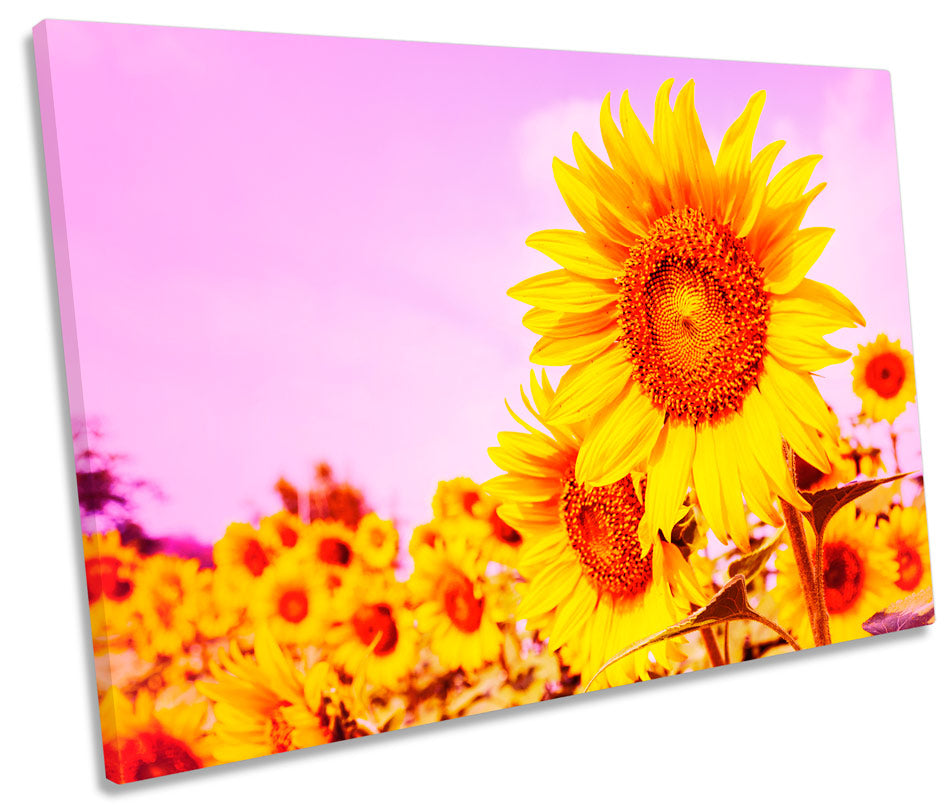 Sunflower Field Sunset Floral