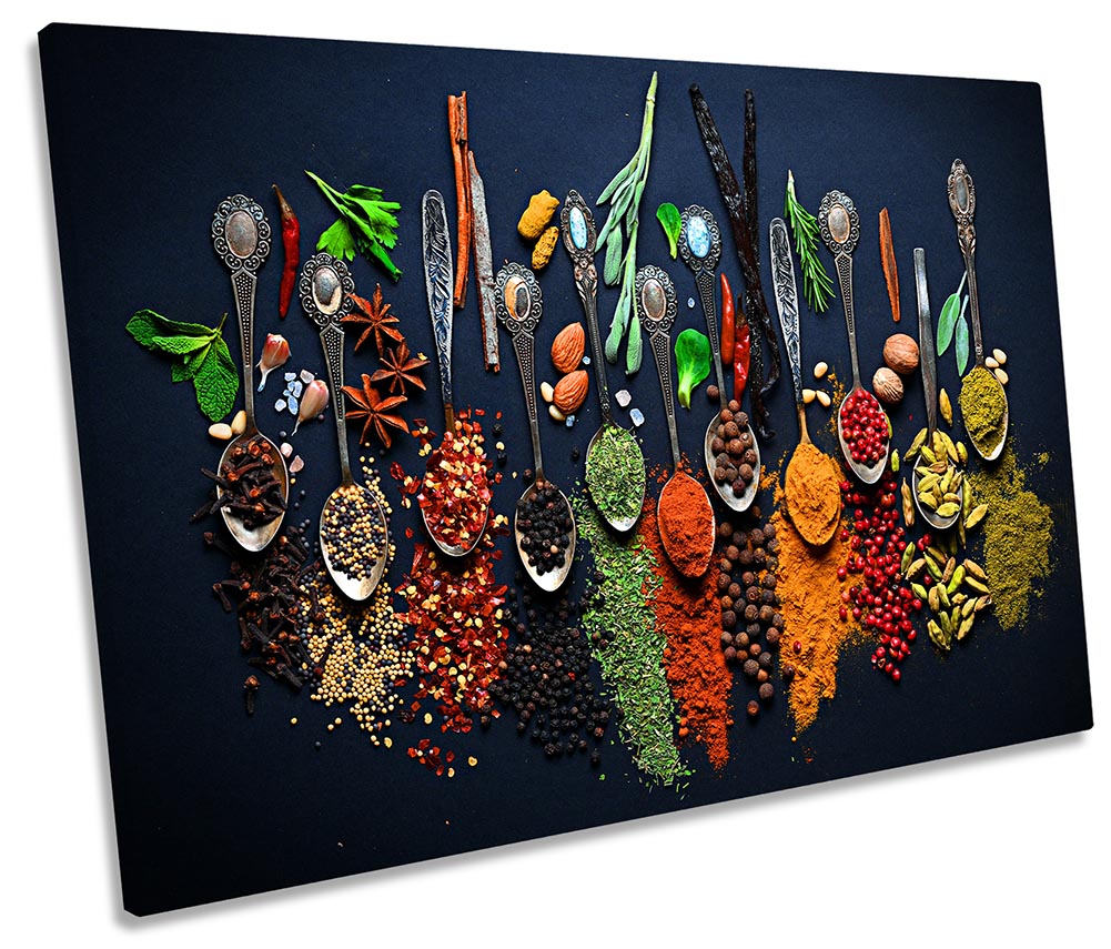 Spices Herbs Modern Spoons Multi-Coloured