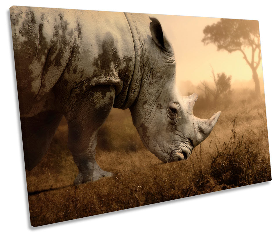 Rhino Sunset